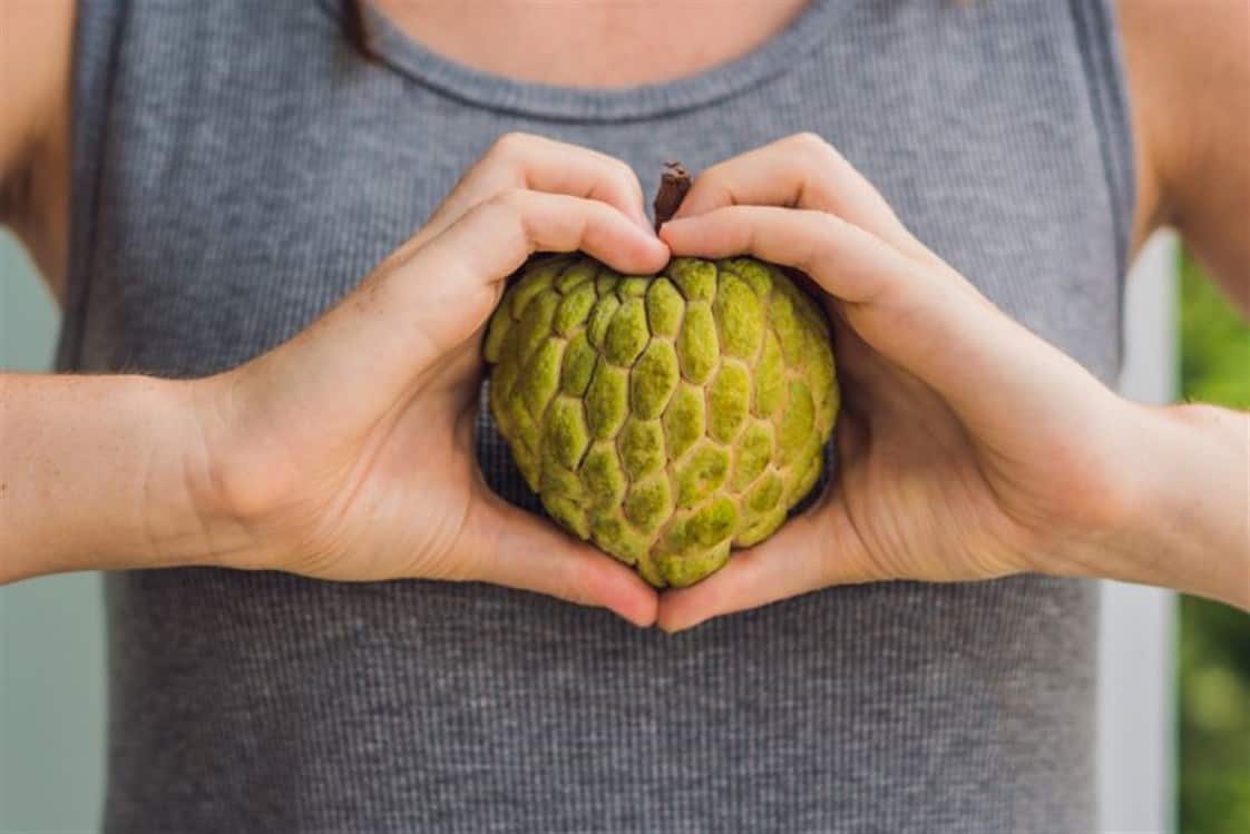 فوائد القشطة الصحية