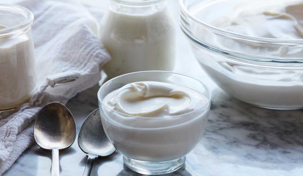 فوائد الزبادي