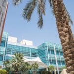 «السياحة» تستعد لإطلاق مشروع الجزيرة العربية الخضراء في موسمه التاسع