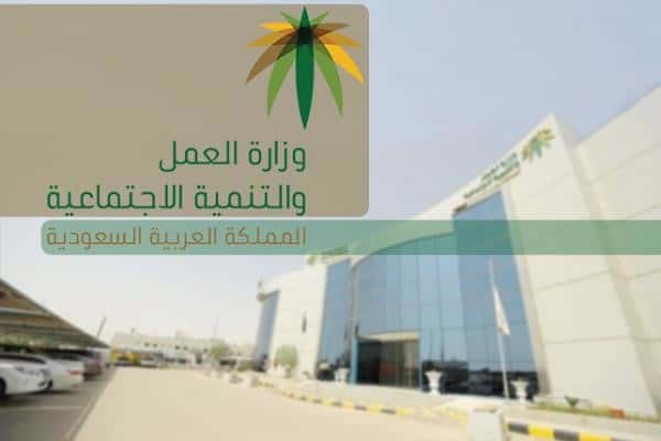 صور| «العمل السعودية» تحتفي باليوم العالمي للتطوع