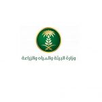 الجراد الصحراوي