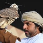 مهرجان القصيم للصقور