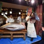 بـ 1.8 مليون دولار.. بيع إحدى أسماك التونة باليابان