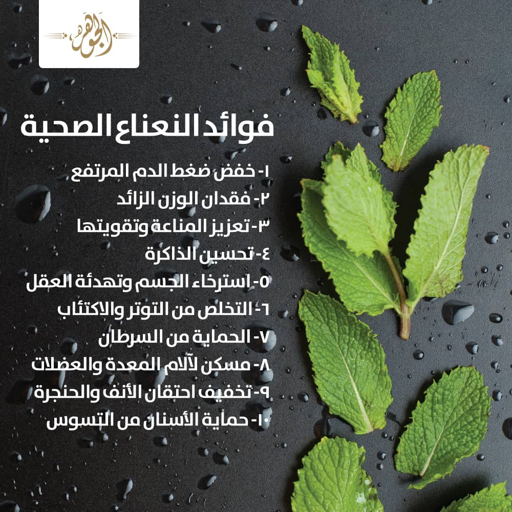 النعناع