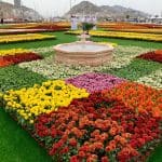 مهرجان الزهور الثاني بمكة