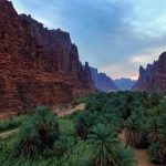 فيديو| «وادي الديسة» طبيعة فريدة في قلب المملكة