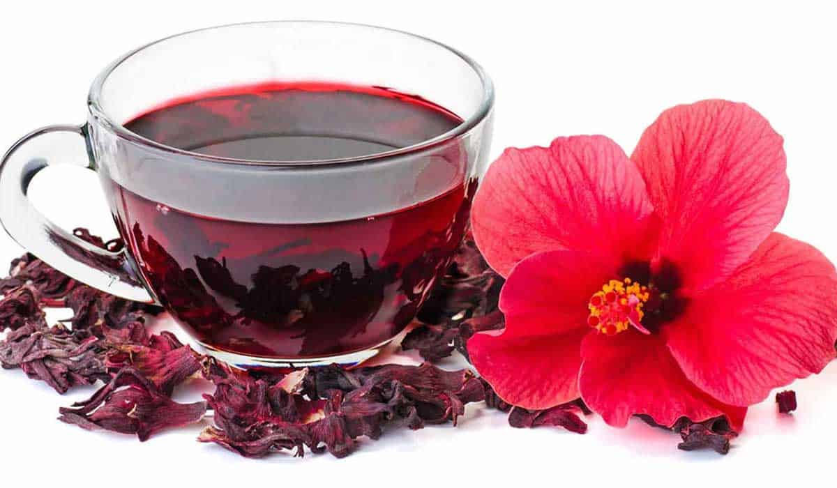 تناول مشروب الكركديه