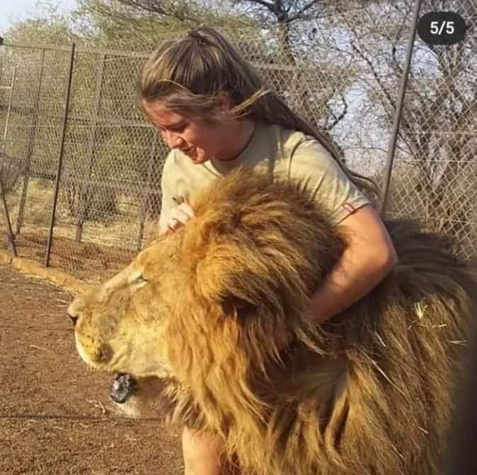«أثناء أداء واجباتها» أسود تهاجم فتاة حتى الموت