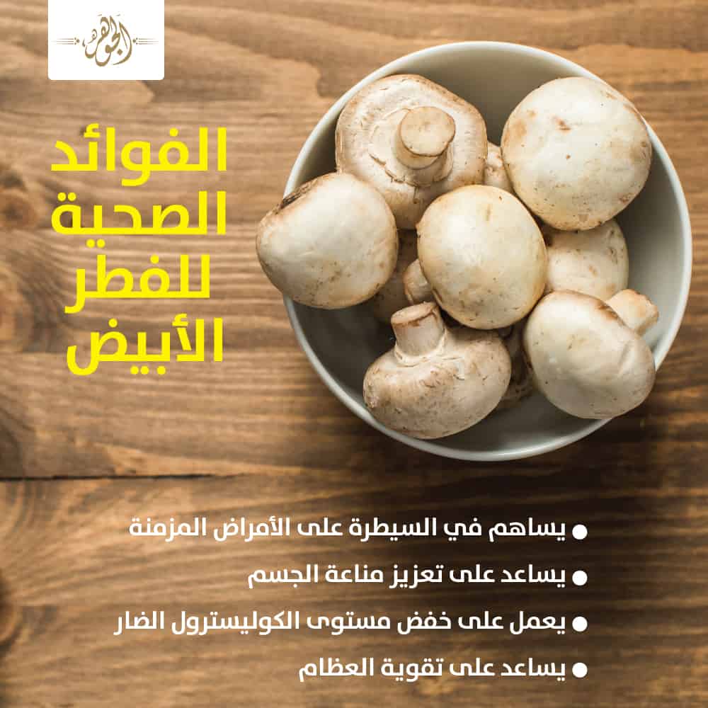 إنفوجراف| 4 فوائد صحية للفطر الأبيض