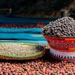 الحفل الخطابي لمهرجان البن السابع برعاية أمير منطقة جازان