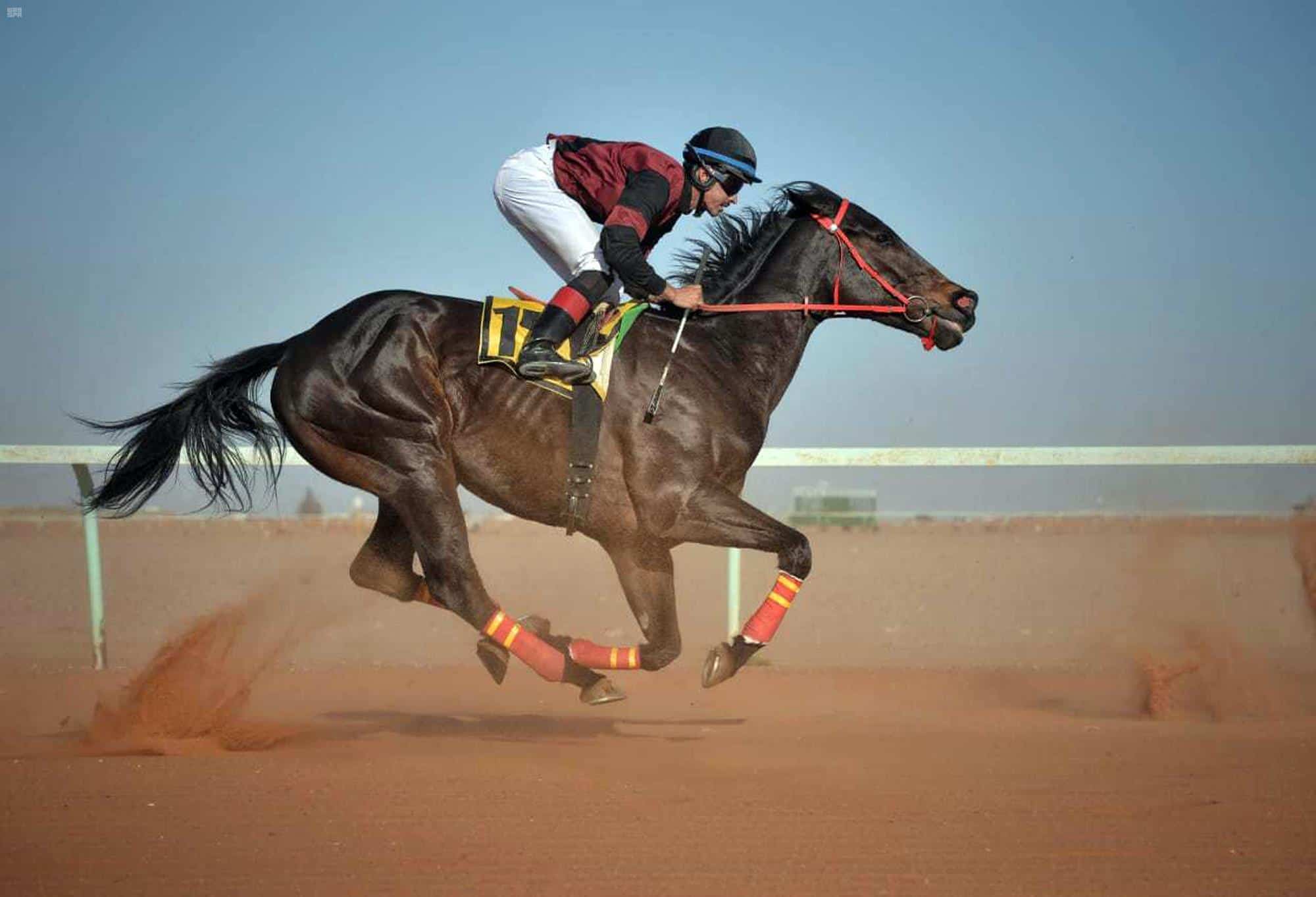 الأغلى عالميًا.. الخطوط السعودية راعيًا بلاتينيًا لـ«كأس السعودية للفروسية»