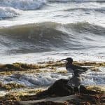 مركز «عتود».. طبيعة خلابة وموقع ساحر