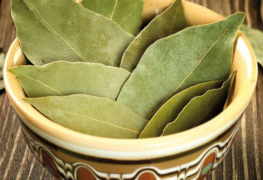 فوائد كوب مغلي ورق الغار على الصحة.. يخلصك من الأرق ويعالج البرد