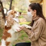 تربية الحيوانات الأليفة