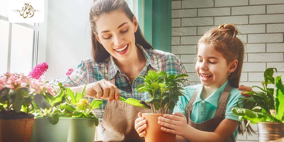 نباتات منزلية
