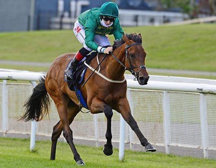 المهرة «فرينيتك» تحصد انتصارًا عالميًا ضخمًا للفروسية السعودية