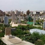 فيديو| حكم غرس الأشجار على قبور الأموات؟