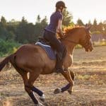 افتتاح أول مدرسة لتعليم الفروسية للنساء بحفر الباطن