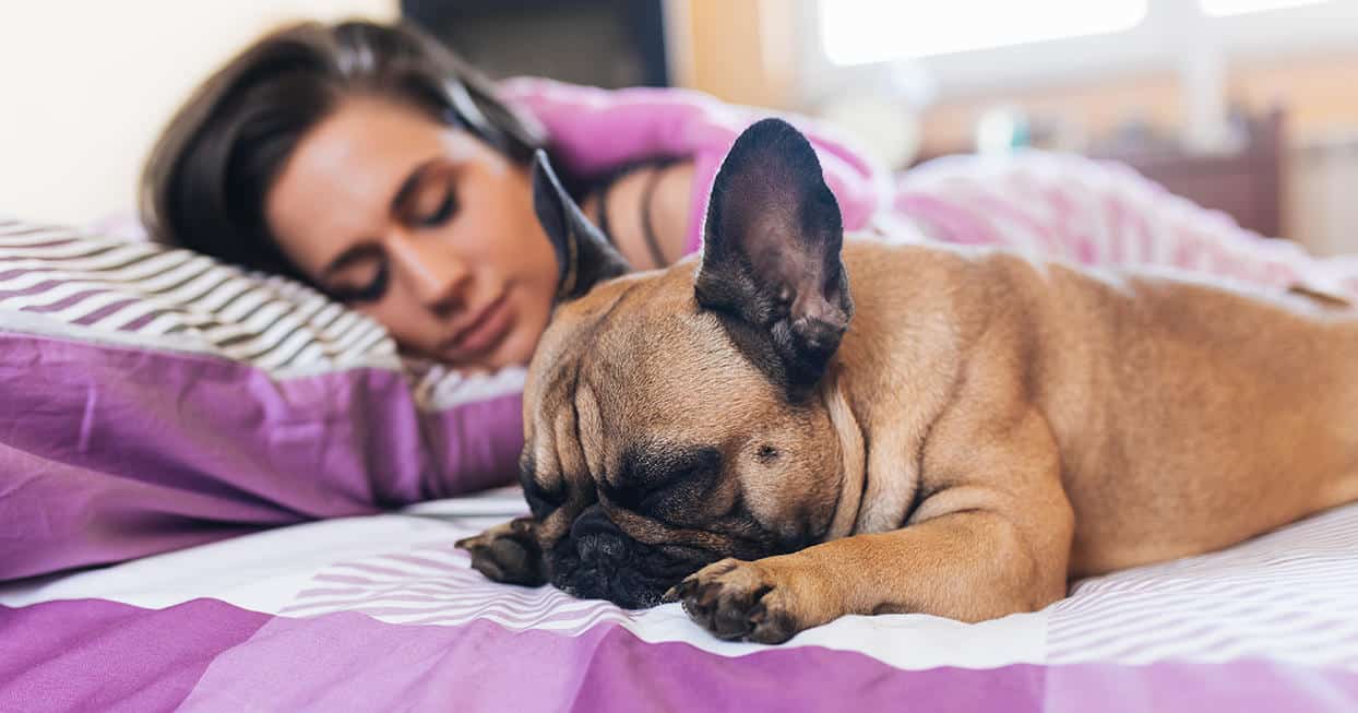 النوم بجانب الحيوانات الأليفة يحميك من هذا المرض