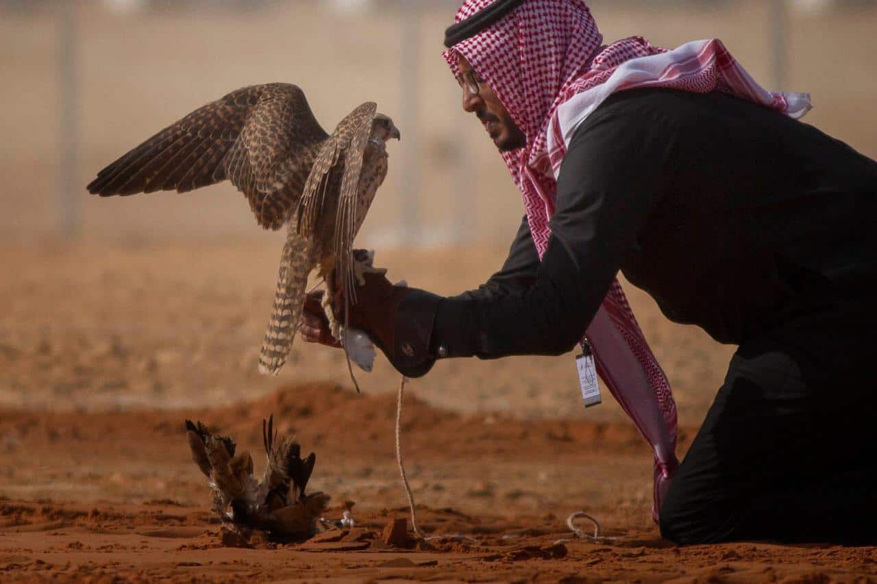 مهرجان الملك عبد العزيز للصقور