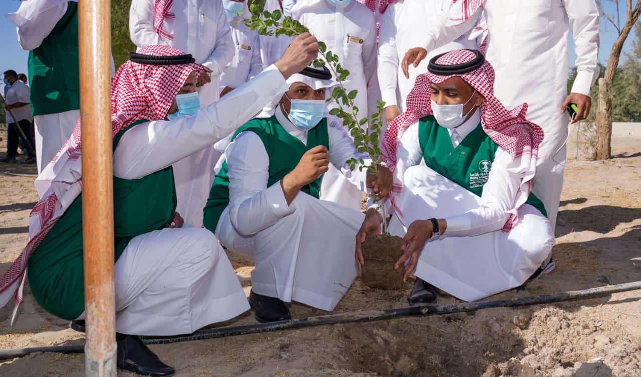 لنجعلها خضراء