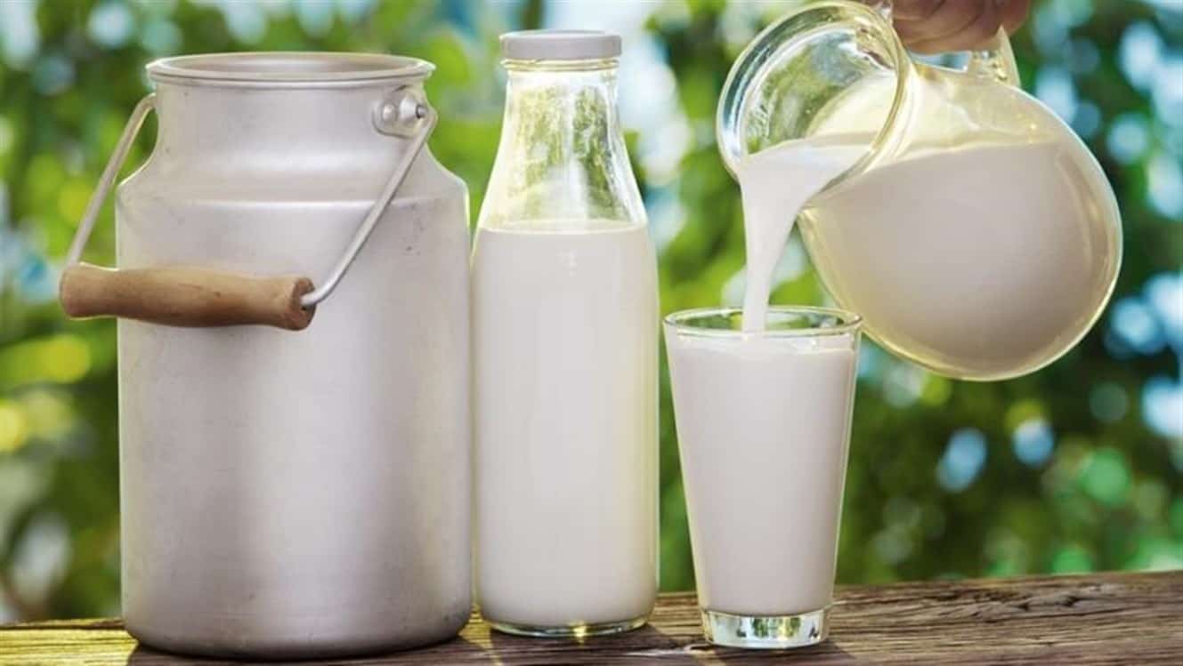 فوائد حليب الماعز لمرضى السكري