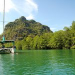 شتاء السعودية.. إطلاق باقات جديدة لزيارة ثلاث محميات طبيعية فريدة