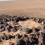 هيئة التراث السعودية تعثر على فؤوس حجرية بالقصيم