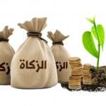 فتاوى| هل يجوز صرف الزكاة للأخت المطلقة؟