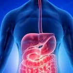 أهم وظائف الطحال وهل يمكن يعيش الإنسان من غيره؟