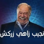 نجيب زاهي زركش