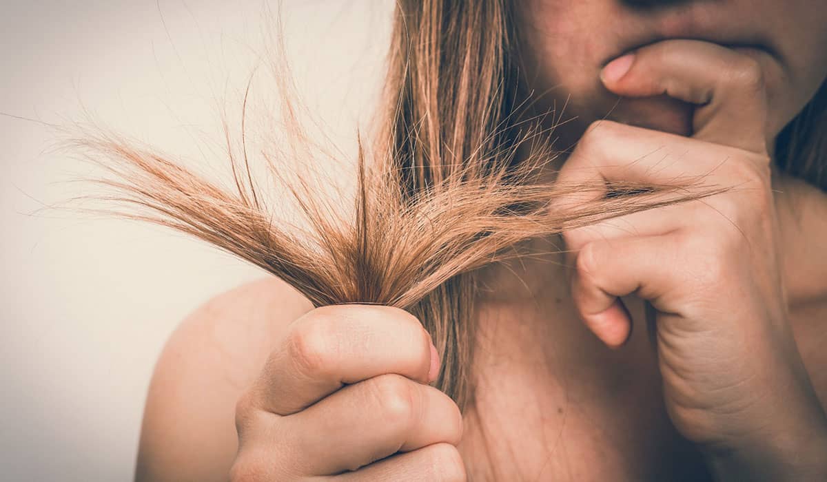 وصفات طبيعية لعلاج الشعر التالف والمتهالك