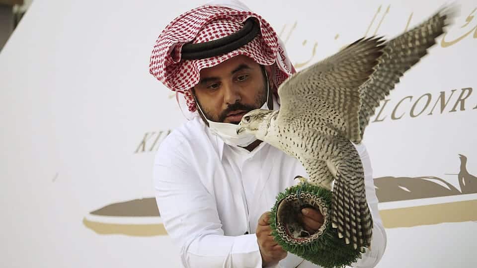 حلفاء الطبيعة