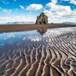 حقيقة انقراض البشرية في هذا الموعد