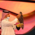 صفقات قياسية في مزاد الصقور.. بيع صقر إنجليزي بـ64 ألف ريال