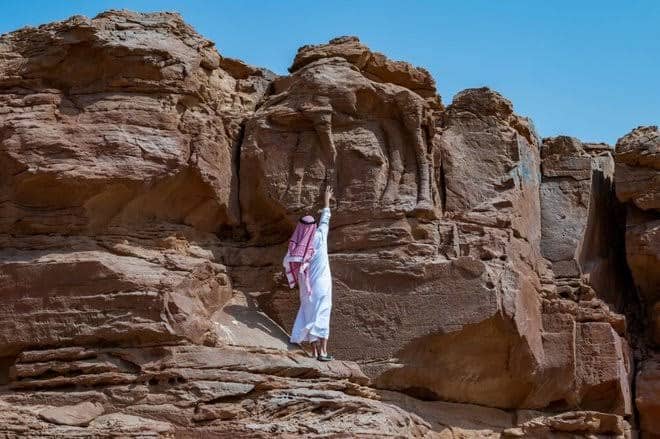 اكتشاف أقدم موقع لنحت الحيوانات في العالم بالمملكة