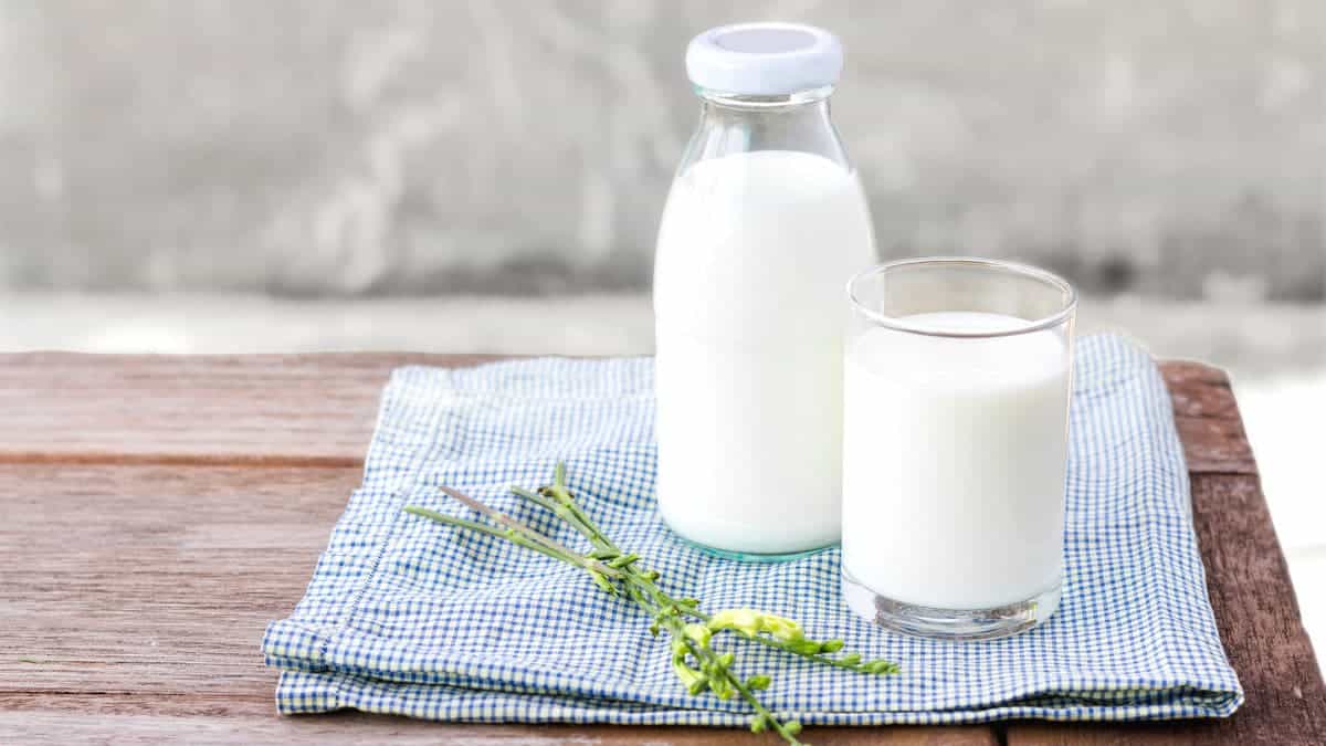 هل الحليب كامل الدسم يزيد الوزن؟.. تعرفي على سعراته الحرارية
