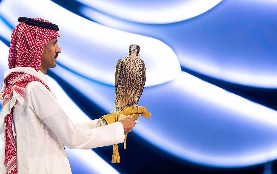 نادي الصقور السعودي يسدل الستار على النسخة الثانية بأكثر من 8 ملايين