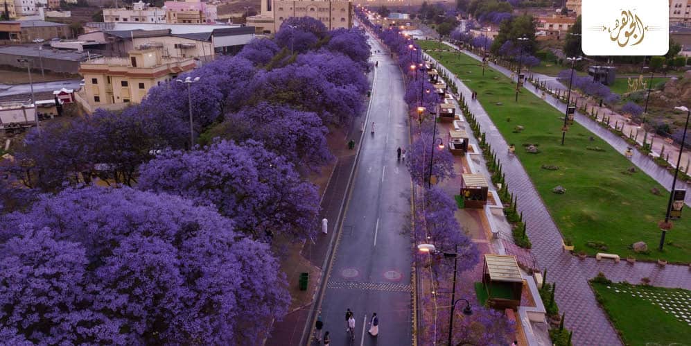 السياحة الشتوية