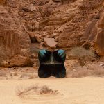 انطلاق «معرض صحراء إكس» في نسخته الثانية بالعلا