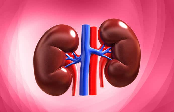 اعتلال الكلى السكري .. أعراضه وكيفية علاجه