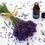 فوائد زيت اللافندر للشعر