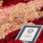 سلة طائف الورد تكسر الرقم القياسي العالمي في موسوعة «غينيس»