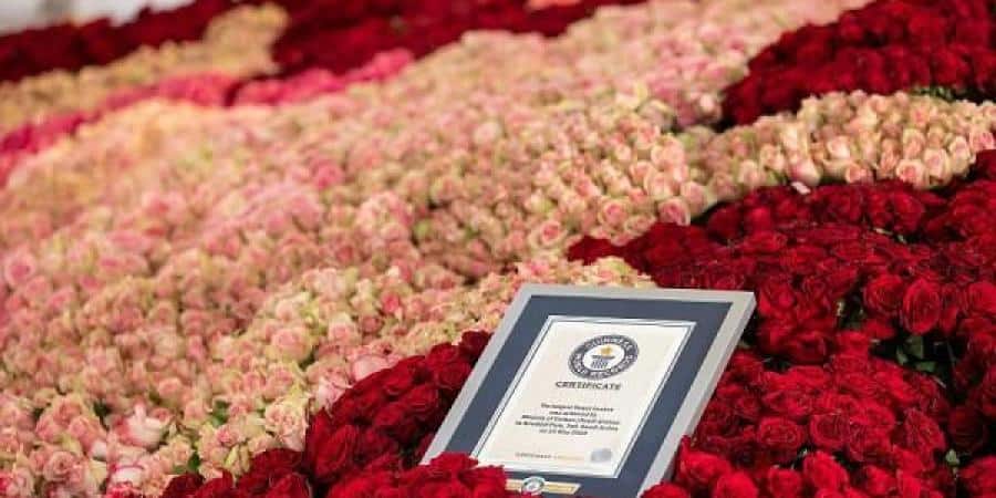 سلة طائف الورد تكسر الرقم القياسي العالمي في موسوعة «غينيس»