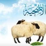 قبل عيد الأضحى المبارك 2022 .. إليك هذه النصائح وشروط الأضاحي
