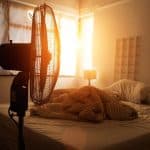 حالات الإصابة بضربات الشمس