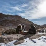 كيفية تجنب التسمم الغذائي في الرحلات البرية.. «الصحة» تجيب 