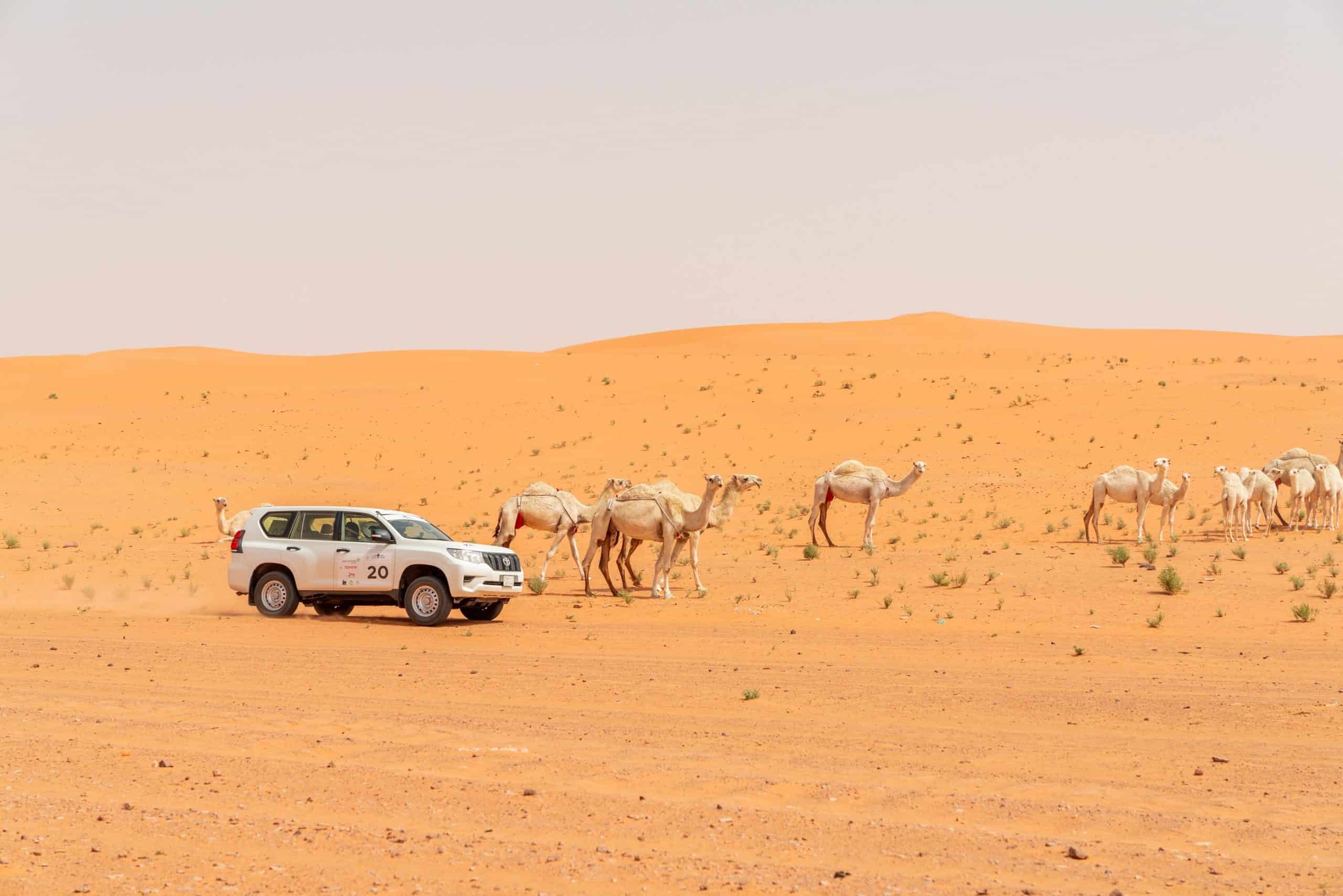 70 فريقًا من جميع أنحاء العالم قدّمنَ طلبات المشاركة في رالي جميل