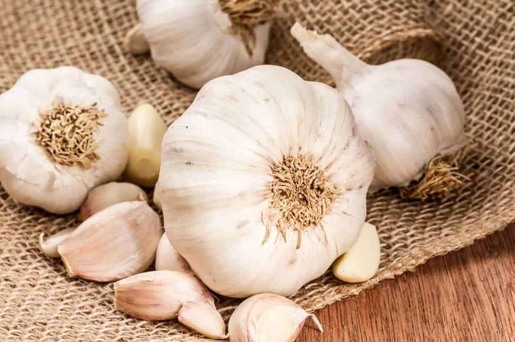 فوائد الثوم للقلب .. يحمي من أمراض القلب وتصلب الشرايين