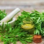 فوائد عشبة البعيثران للمرأة .. الوقاية من سرطان الثدي وتخفيف أعراض الطمث